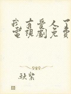 我有爱人了韩剧电视剧免费观看全集