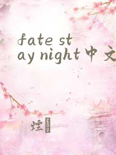 fate stay night中文版