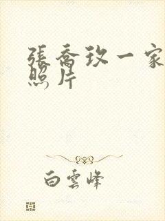 张乔玫一家三口照片