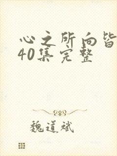 心之所向皆美好40集完整