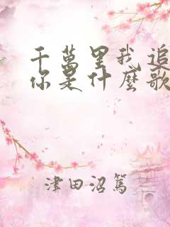 千万里我追寻着你是什么歌词