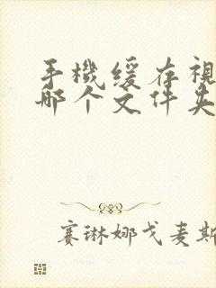 手机缓存视频在哪个文件夹