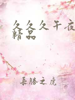 久久久午夜国产精品