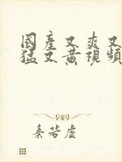 国产又爽又粗又猛又黄视频