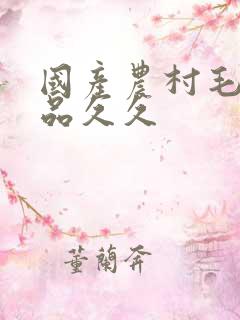 国产农村毛片精品久久