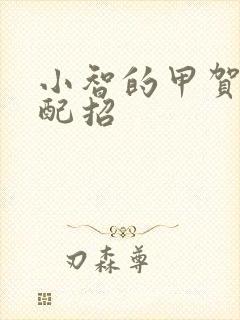 小智的甲贺忍蛙配招