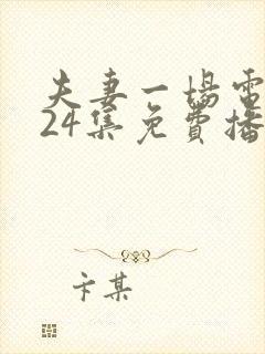 夫妻一场电视剧24集免费播放