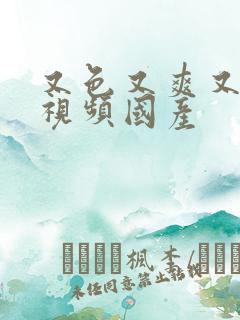 又色又爽又黄的视频国产