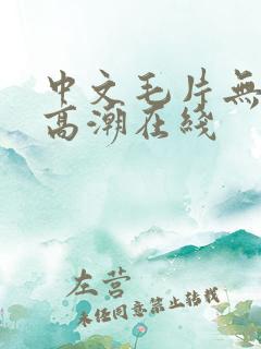 中文毛片无遮挡高潮在线