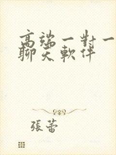 高端一对一视频聊天软件