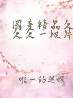 国产精品久久久久久一级片