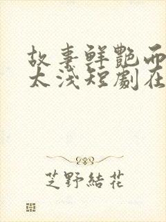 故事鲜艳而缘分太浅短剧在哪看