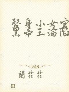 替身小女官,腹黑帝王沦陷了江清慈祁渊最