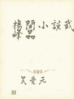 杨开小说武炼巅峰品