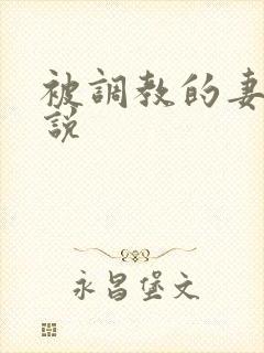 被调教的妻奴小说