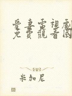 爱妻电视剧泰剧免费观看国语版