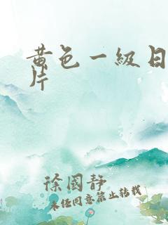 黄色一级日韩v片