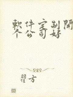 软件定制开发哪个公司好