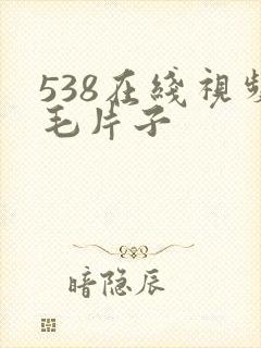 538在线视频毛片子