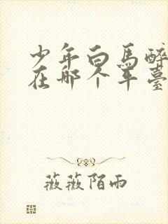 少年白马醉春风在哪个平台播放