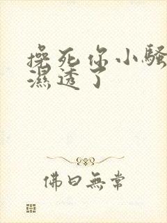 操死你小骚货都湿透了