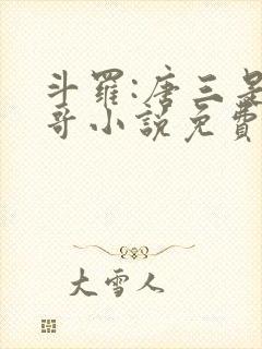 斗罗:唐三是我哥小说免费阅读