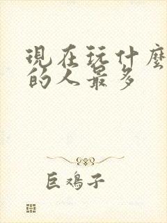 现在玩什么游戏的人最多