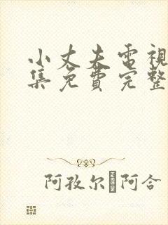 小丈夫电视剧全集免费完整版在线观看