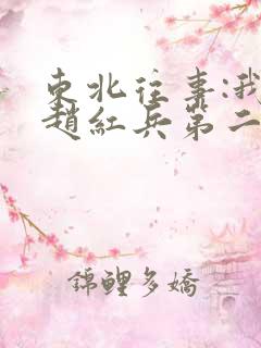 东北往事:我叫赵红兵第二部免费观看