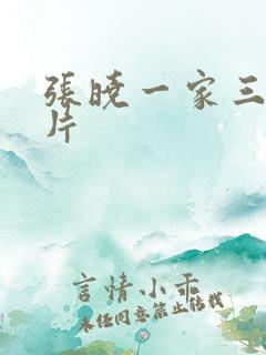 张晓一家三口照片