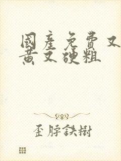 国产免费又爽又黄又硬粗