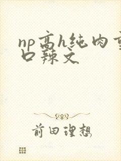 np高h纯肉重口辣文