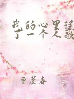 我的心里从此住了一个人歌词