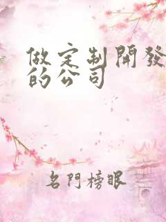 做定制开发软件的公司