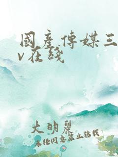 国产传媒三级av在线