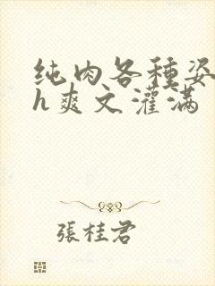 纯肉各种姿势高h爽文灌满