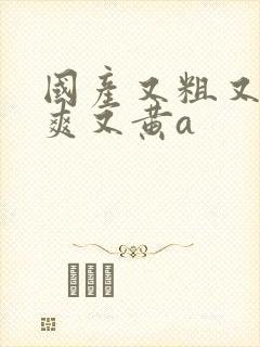 国产又粗又猛又爽又黄a