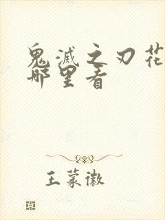 鬼灭之刃花街篇哪里看