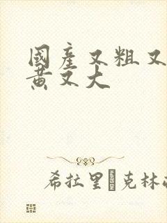 国产又粗又爽又黄又大