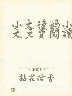 小文后妈小说全文免费阅读最新章节