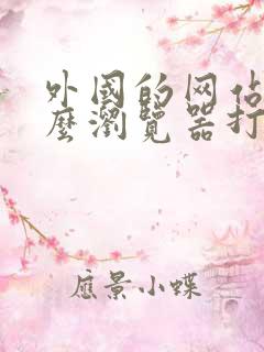 外国的网站用什么浏览器打开