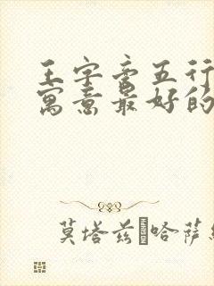 王字旁五行属火寓意最好的字