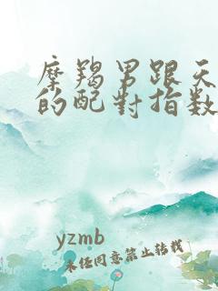 摩羯男跟天蝎女的配对指数