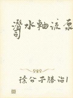 潜水轴流泵站公司