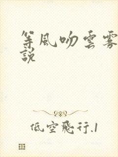 等风吻云雾 小说