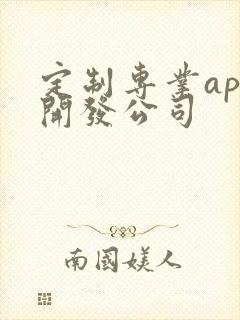 定制专业app开发公司