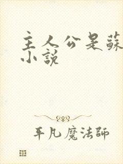 主人公是苏晨的小说