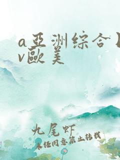 a亚洲综合日韩v欧美