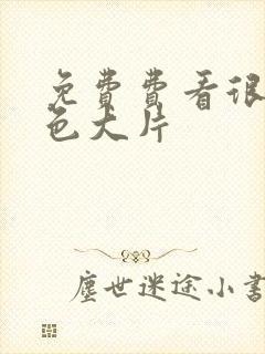 免费费看很黄很色大片