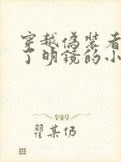 穿越伪装者,娶了明镜的小说